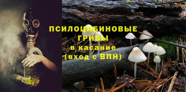 PSILOCYBIN Баксан