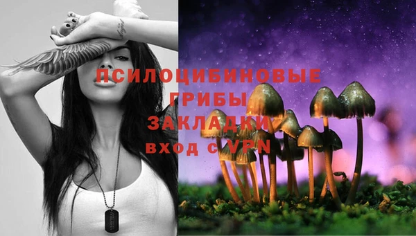 PSILOCYBIN Баксан